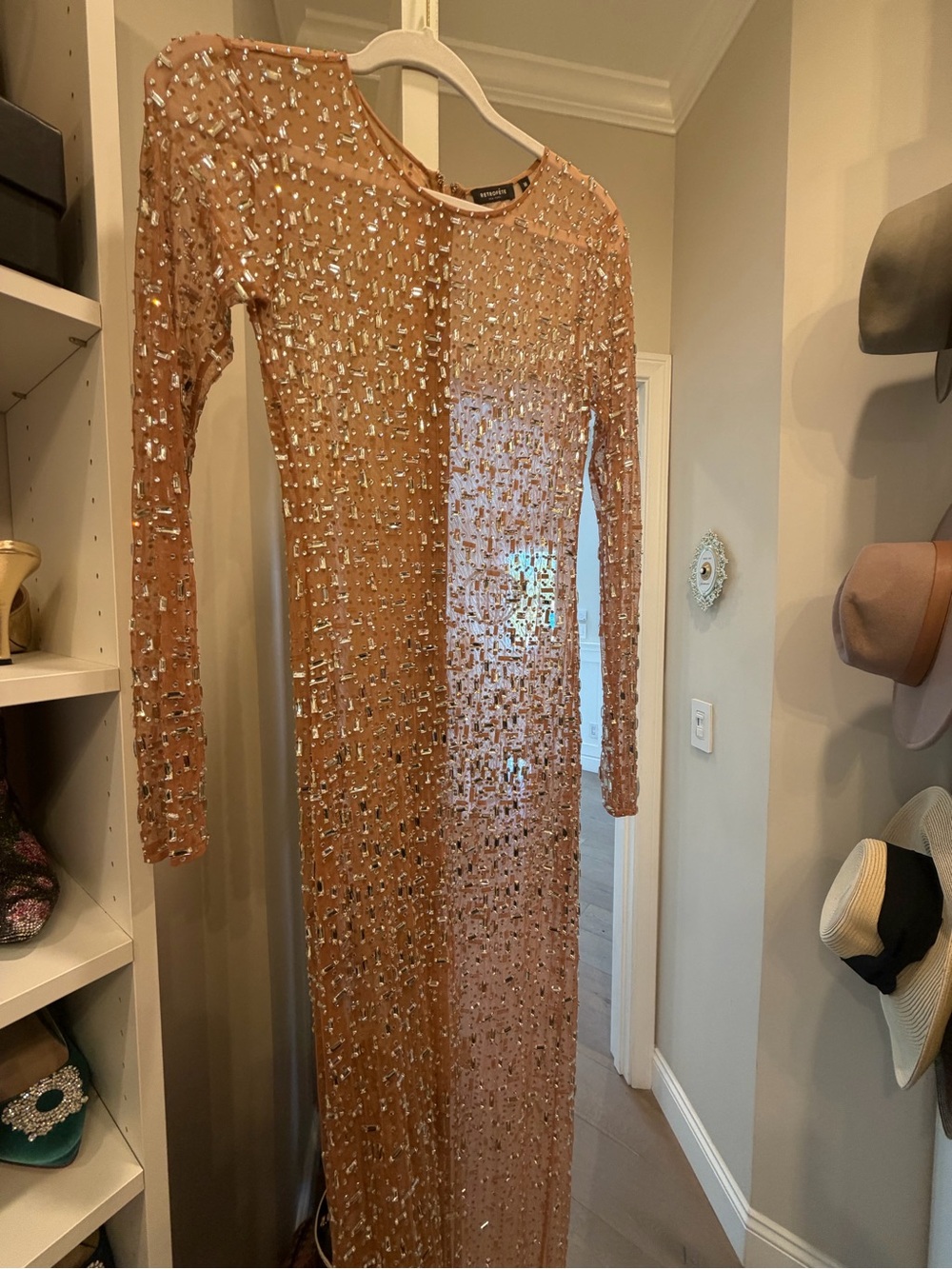 Retrofete Nude Crystal-Embellished Sheer Maxi Dress - Picture 4 of 8